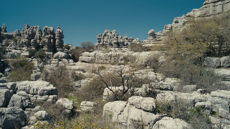 Bred panoramaudsigt over lagdelte kalkstensformationer og tør vegetation i El Torcal de Antequera, Andalusien, Spanien, der fremhæver det unikke karstlandskab og naturlige mønstre.