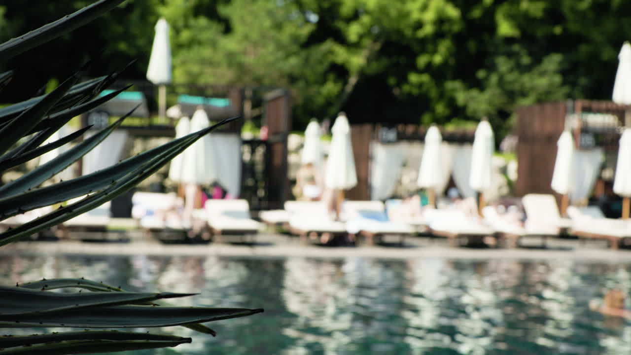 люди в бассейне