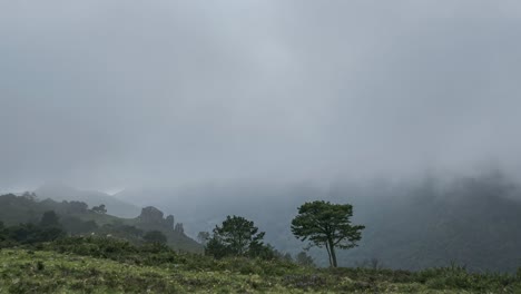 Thick-clouds-covering-green-mountains