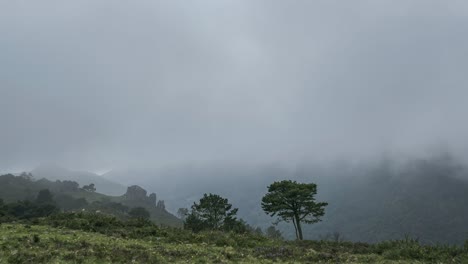 Dicke-Wolken-Bedecken-Grüne-Berge