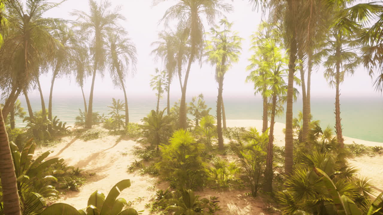야자수와 열 대 해변