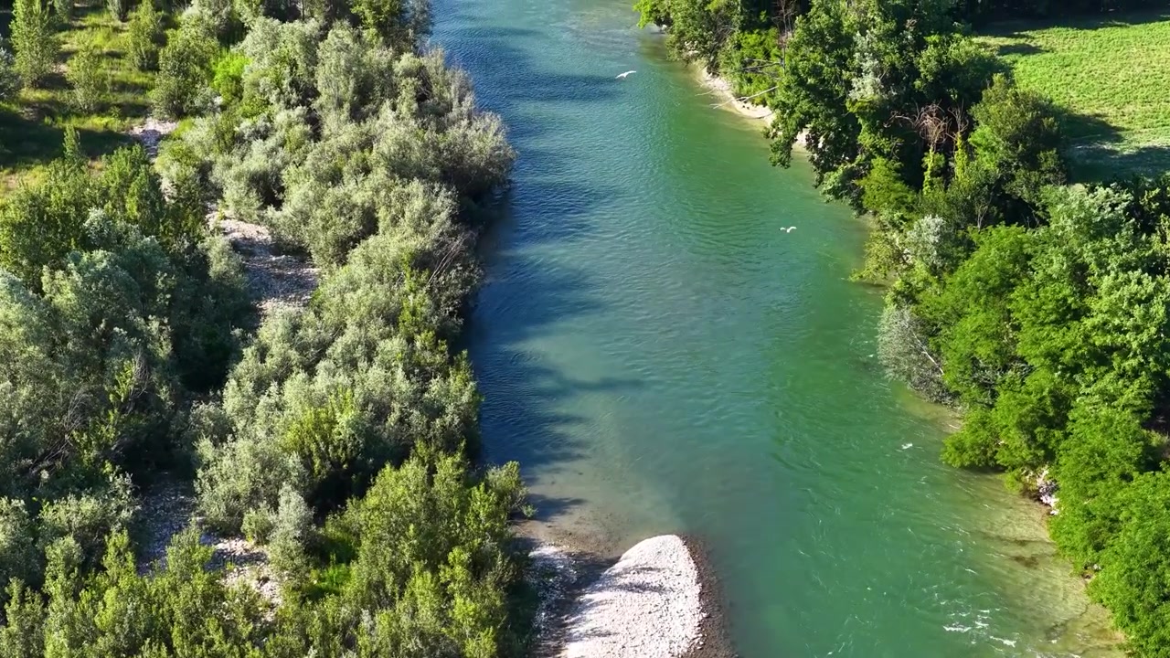 Ripresa aerea con drone che cattura l'acqua turchese di un fiume che serpeggia attraverso un fitto bosco verde in Italia.