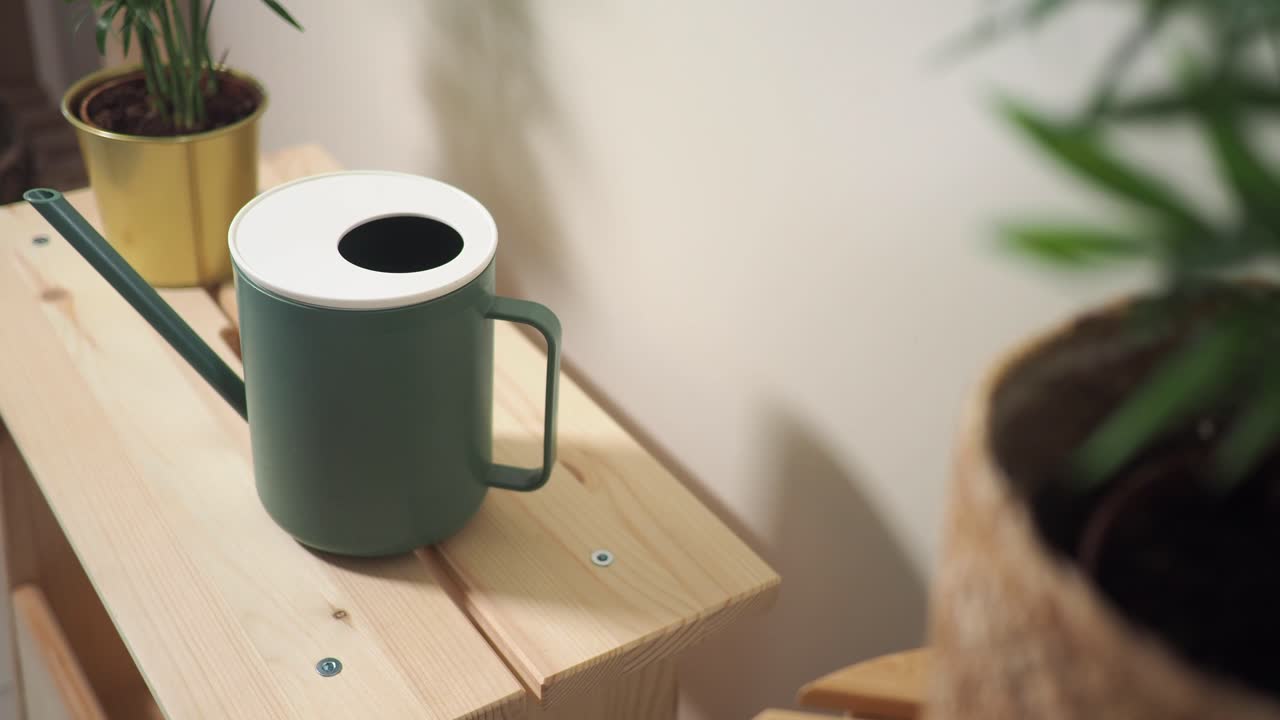 Green Watering Can and Indoor Plants