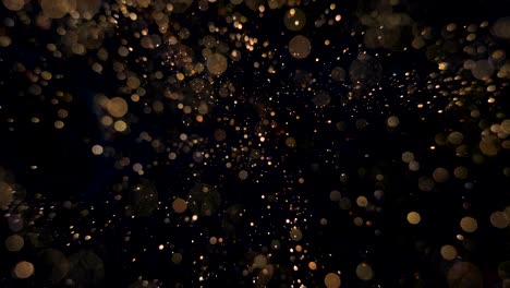 elegante, detallado y delicioso bokeh y partículas visuales con poca profundidad de campo bajo el agua