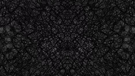 asphalt symmetry in motion