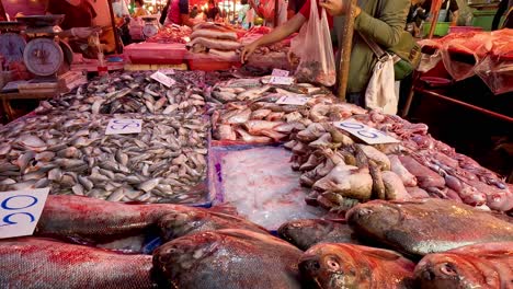 various fish displayed at a busy market stall