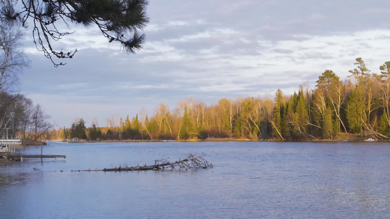 A River with Trees at Sunset