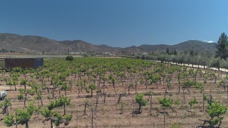 Aerial-shot-of-a-hotel-an-vineyards-in-the-Valle-de-Guadalupe