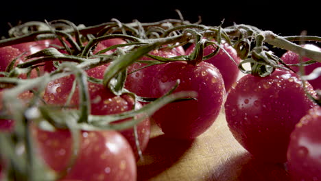 tracking shot around delicious fresh ripe tomatoes on the vine