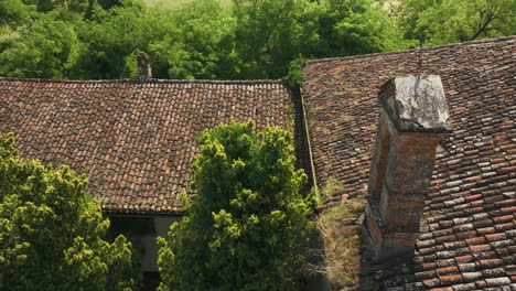 overgrown greenery surrounds the rooftop of an abandoned villa on a sunny day