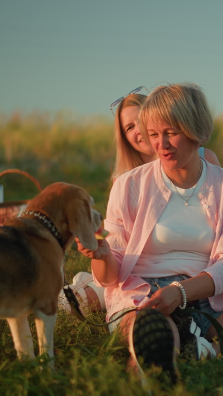 Woman feeding dog on leash with watermelon during outdoor picnic, smiling while second woman sits behind, also smiling warmly, dragonfly flying in the background