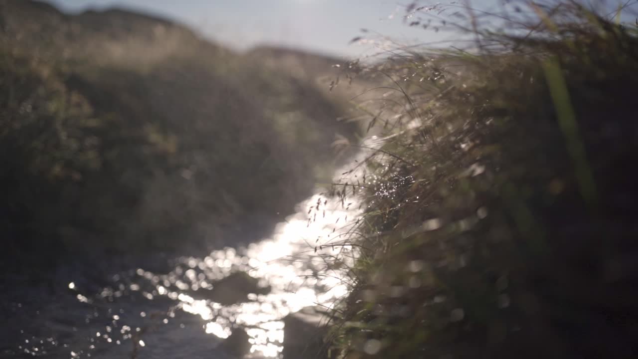 A close-up, low-angle shot captures the natural flow of warm water amidst mossy, dark earth and green vegetation, characteristic of a natural hot spring in Iceland