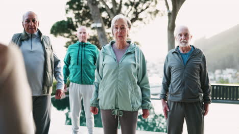 group of senior citizens doing exercise outdoors