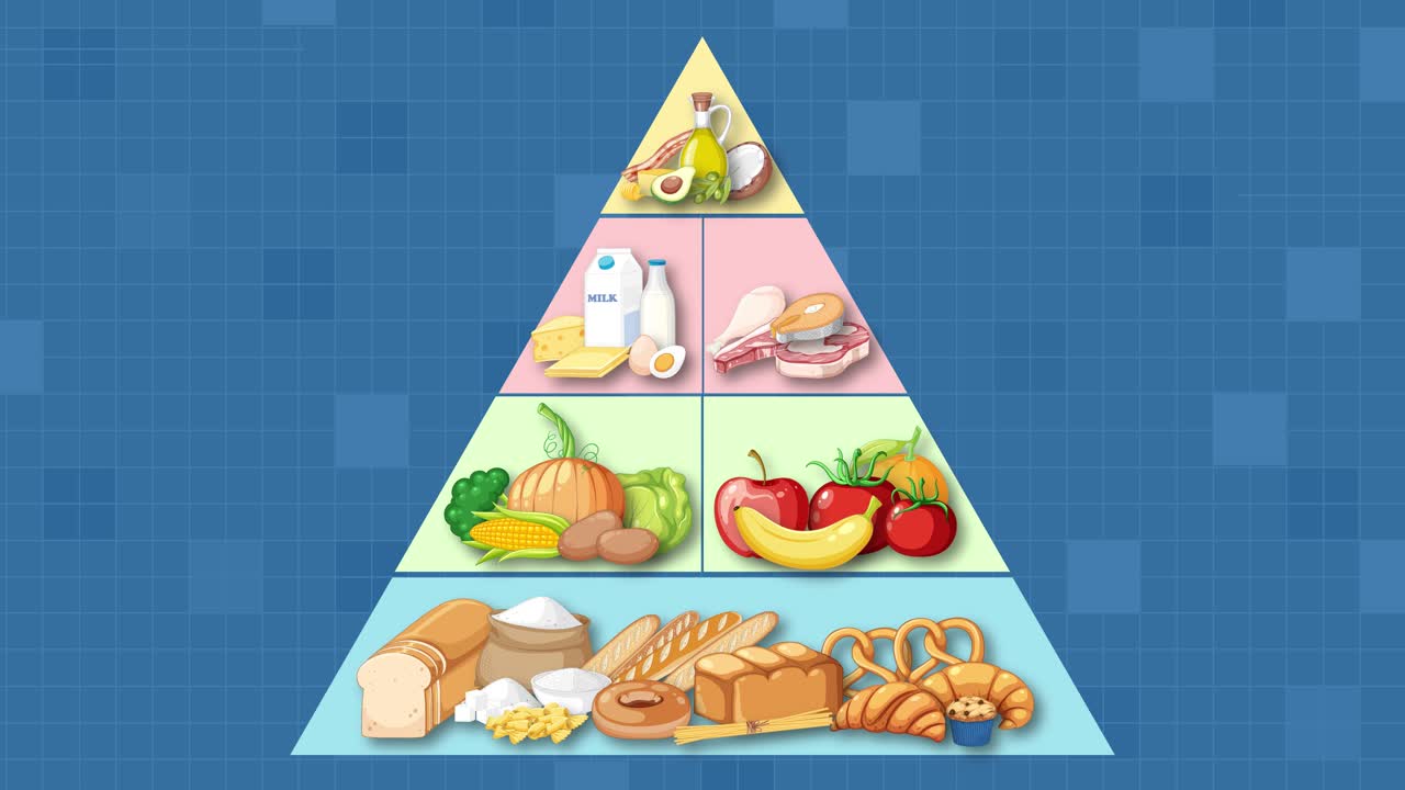 Animated food pyramid assembles layer by layer, illustrating food groups on dark blue background