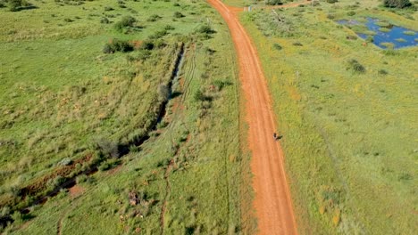 vista de drones de un ciclista de montaña en un camino agrícola de tierra