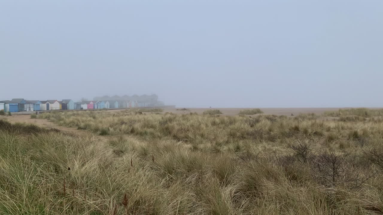 пляжные хижины на туманном зимнем побережье и травянистые песчаные дюны под туманно-серым небом