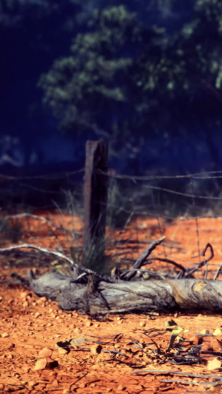 Terreno arido con un ramo d'albero caduto vicino a una recinzione in una zona rurale