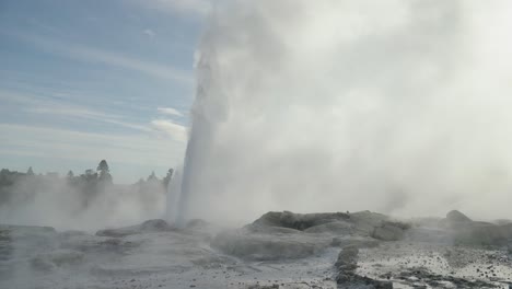 Rotorua-steamy-geothermal-geyser,-New-Zealand,-Slow-motion-iconic