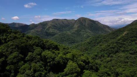 drone shot flying over forest covered mountains in jujuy, argentina