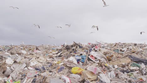 Rubbish-piled-on-a-landfill-full-of-trash-