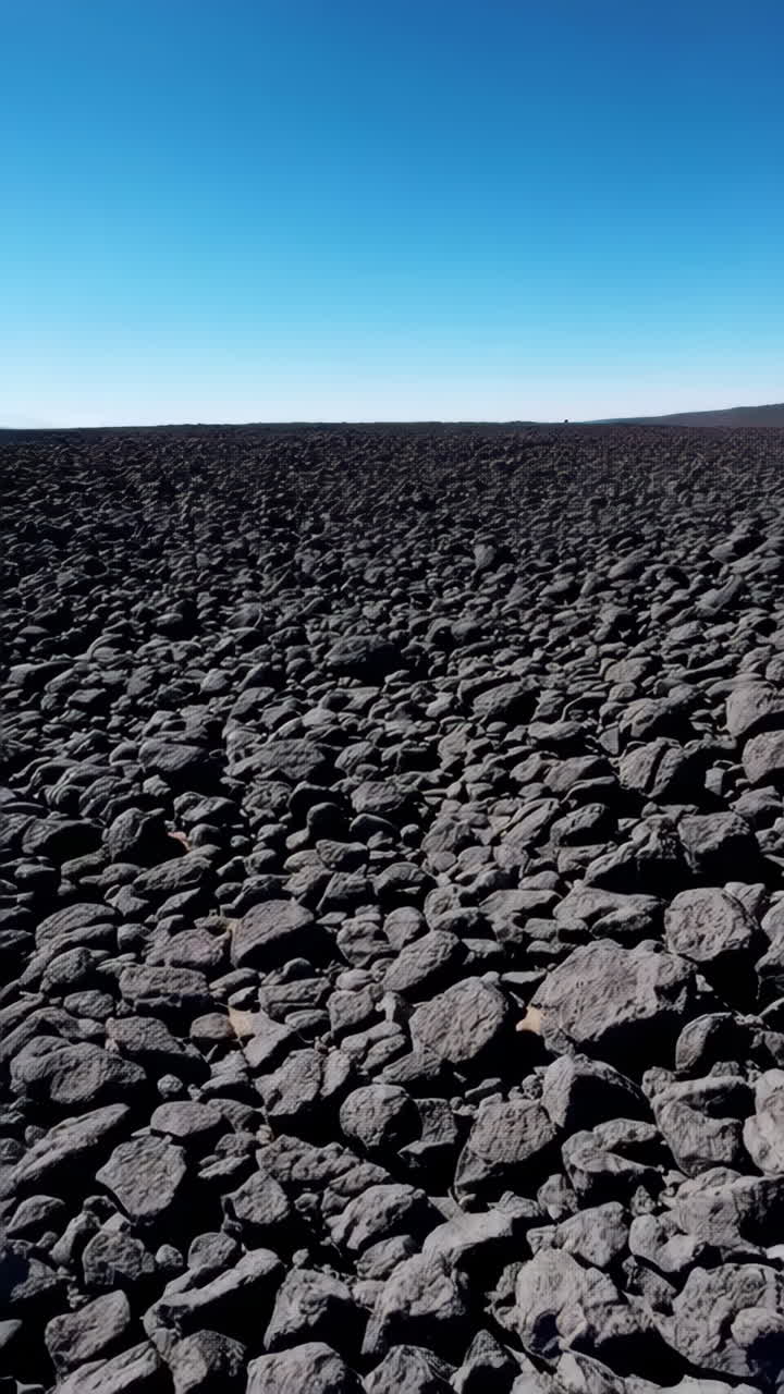 바위 가 많은 사막 풍경