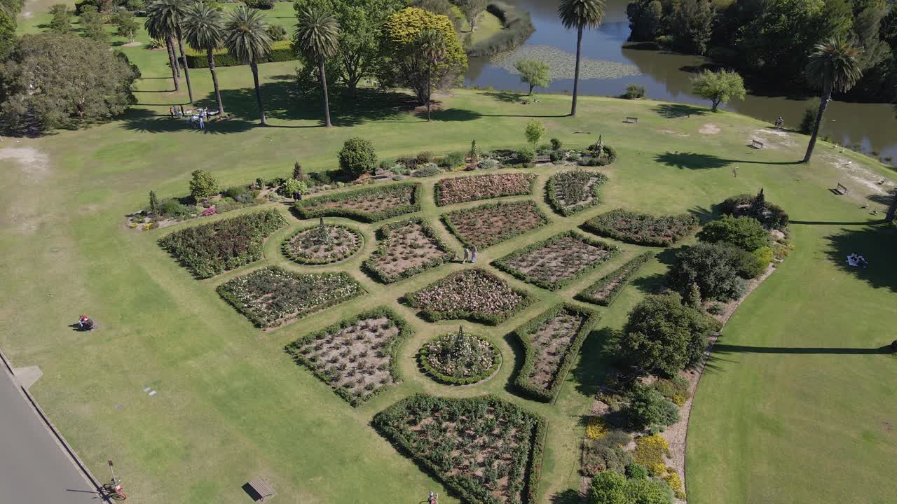 pocas personas relajándose en el jardín de rosas cerca del estanque de busbys en medio del covid-19 - parque centenario, nsw, australia