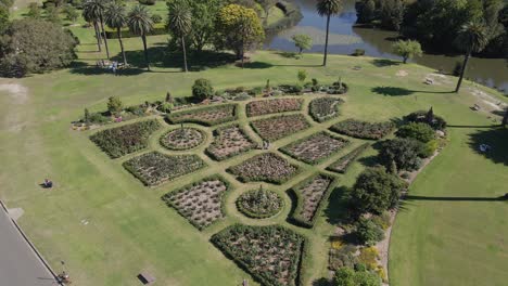 Wenige-Leute-Entspannen-Sich-Im-Rosengarten-In-Der-Nähe-Von-Busbys-Pond-Inmitten-Des-Covid-19---Centennial-Park,-Nsw,-Australien