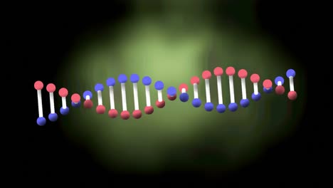 Animación-De-La-Cadena-De-ADN-Girando-Sobre-Fondo-Verde.