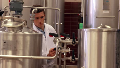 brewery worker checking the vats