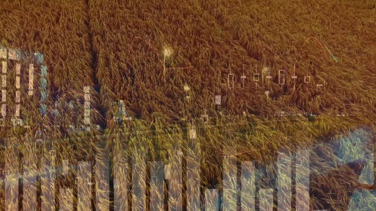animación de las estadísticas y el procesamiento de datos financieros en el ámbito de la agricultura