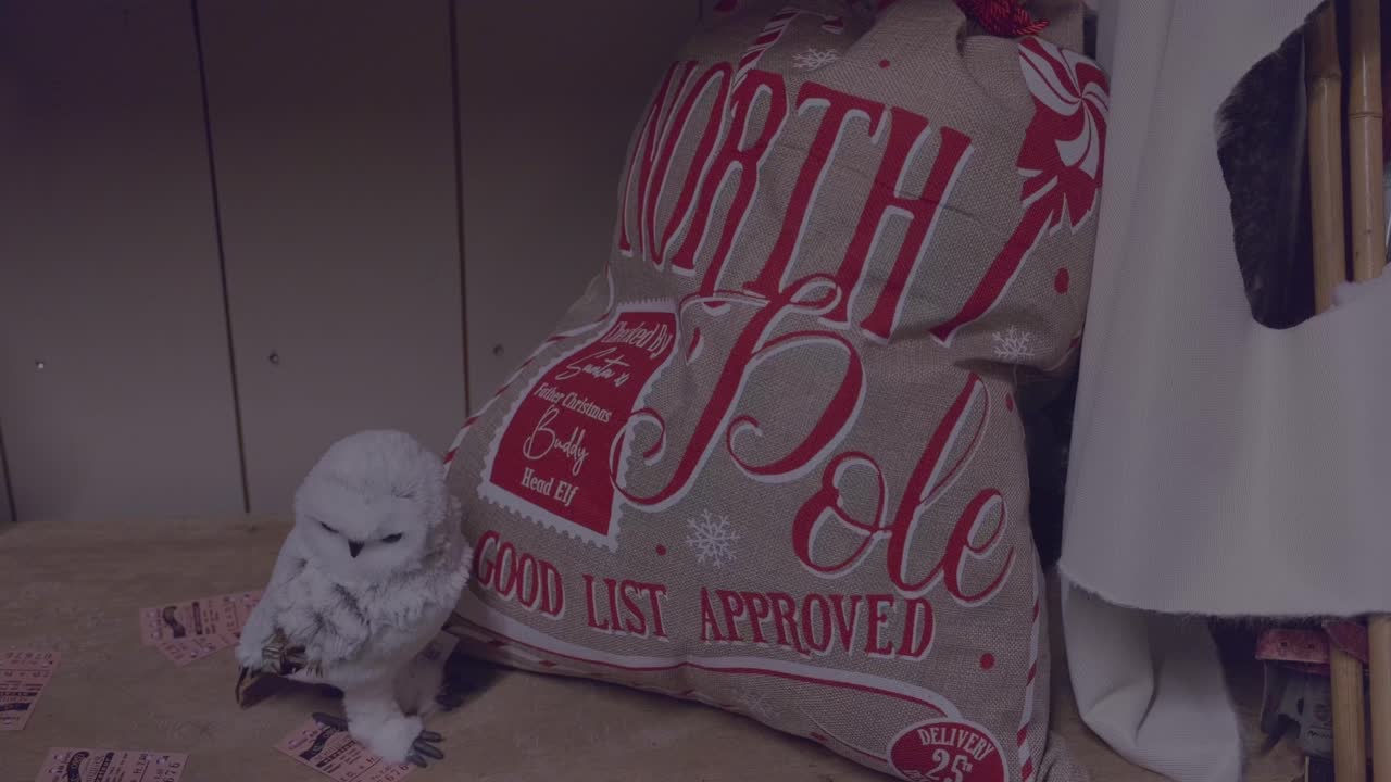 Santa Claus bag and a white owl in Schilliger in Gland in Canton of Vaud Switzerland