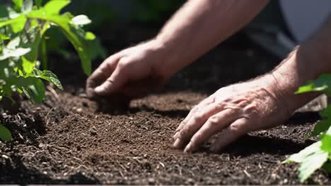 a gardener's care: tending to fresh soil in a lush garden bed to prepare for planting and ensure healthy growth for future blossoms and vegetables