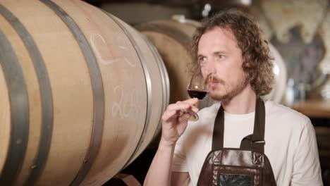 adult man winemaker at winery checking glass looking quality while standing between the barrels in the cellar controlling wine making process - real people traditional and industry wine making concept