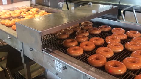 warm and freshly baked donuts passing through a wall of sugar glaze and being dried on a conveyor belt