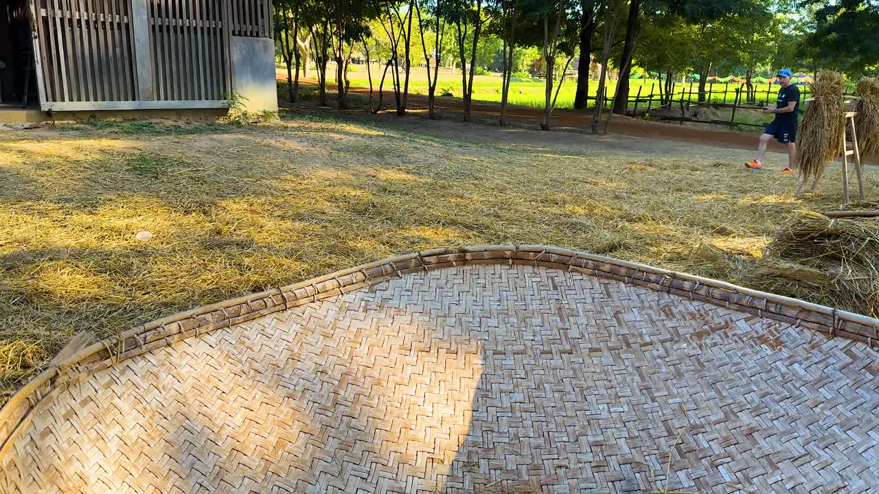 cenas do processo de secagem e armazenamento do arroz