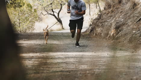 short sprint running with hound puppy at barcelona alps