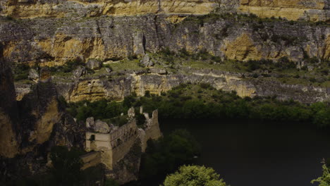 plants at the rugged canyons at the waterfront of duraton river in hoces del rio duraton natural park