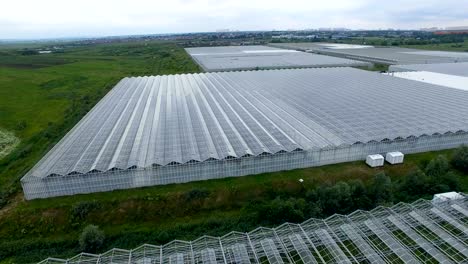 a large greenhouse facility at the edge of town.