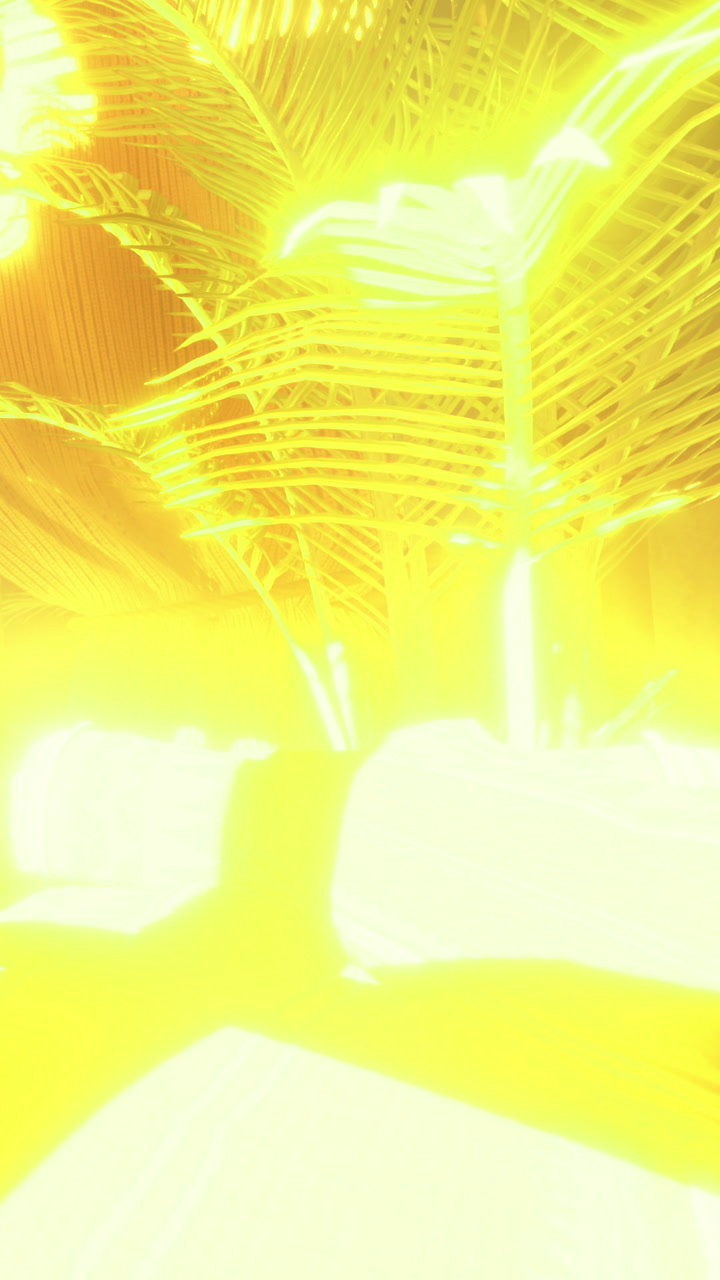 Bright light shines through plants in indoor setting at afternoon