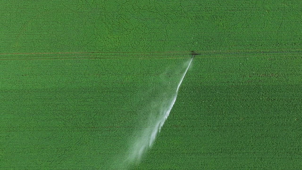 Prospettiva aerea dall'alto che mostra un sistema di irrigazione agricolo con un potente irrigatore che irriga un vasto campo coltivato verde e lussureggiante, evidenziando la moderna tecnologia agricola e l'uso dell'acqua.