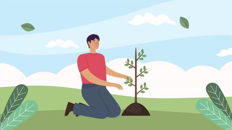 male ecologist planting tree animation