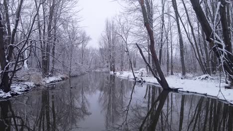 Narrow-forest-river-with-trees-surrounding-it-in-winter-season,-low-angle-aerial-view