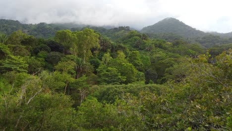 Dense-green-rain-forest-In-Santa-Marta-with-Sierra-Nevada-in-the-background-Colombia