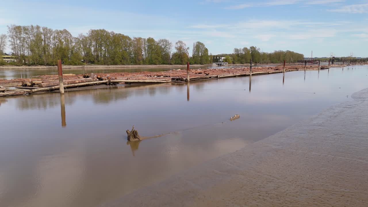 A Serene View of a Log Boom Floating on a Calm River in British Columbia, Canada.