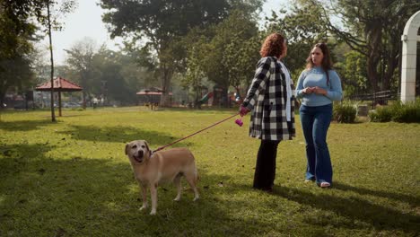 Two Women and a Labrador Dog Walking and Talking in a Sunny Park