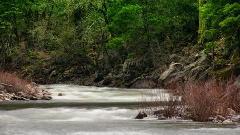 A-Time-Lapse-River-Flows-Through-The-Forest