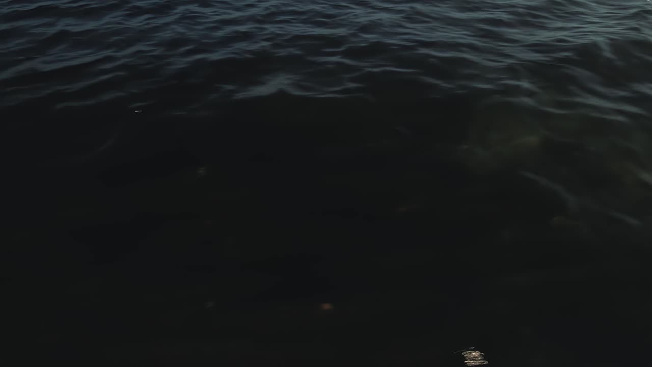 olas del océano inclinándose hacia el horizonte, moviéndose hacia la izquierda