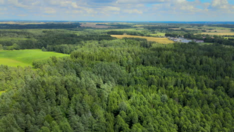 Schöne-Luftaufnahme-Von-üppigem-Grünen-Waldblick-Mit-Flachen-Feldern-Und-Ackerland