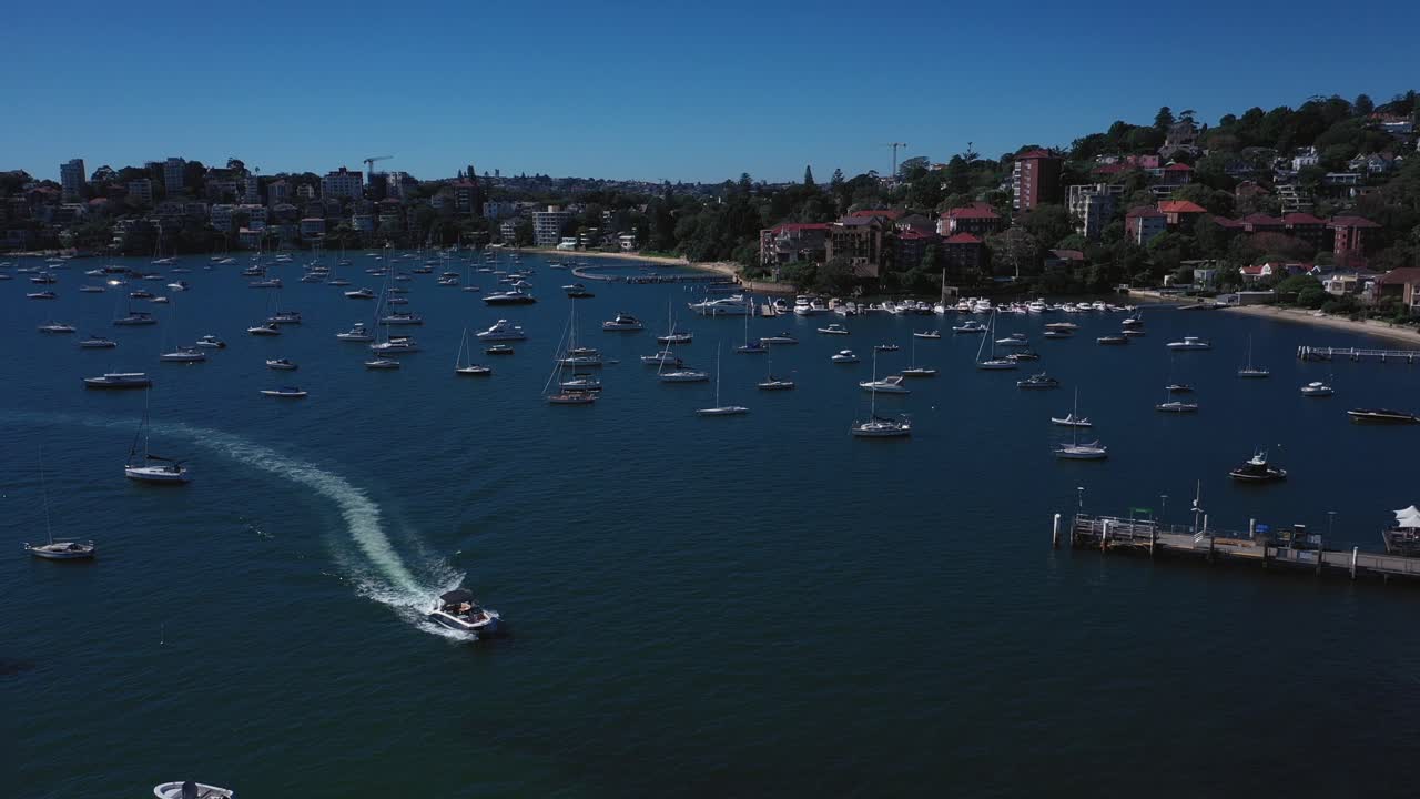 Il porto di Sydney in una splendida giornata di sole da Double Bay, con barche, cielo azzurro e acqua