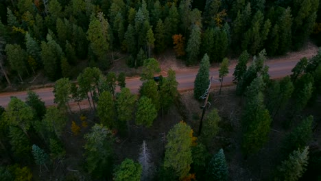 Car-Driving-on-Dirt-Road-Through-Apache-Sitgreaves-National-Forests